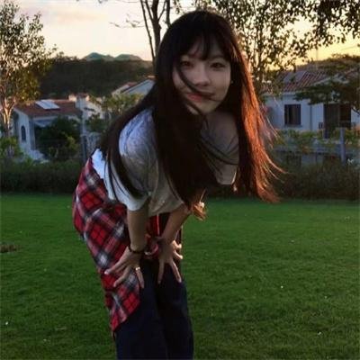 星星守护犬